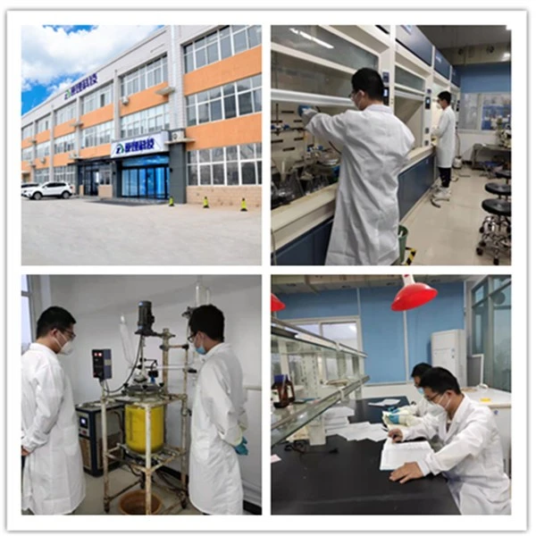 4-Phenoxybenzeneboronic Acid,CAS:51067-38-0,C12H11BO3 suppliers