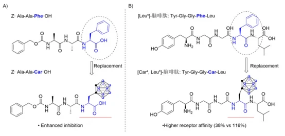 The application of L-carborane-alternative-phenylalanine in peptide compounds